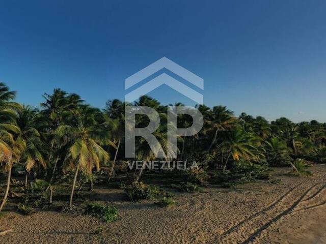 Terreno para construcción para Venta en Anama - 5