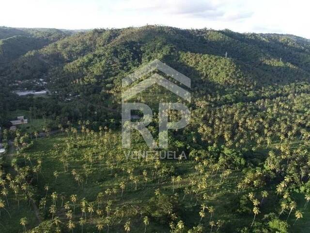 #SMT-011 - Área para Venta en Las Terrenas - Samaná