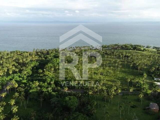 #SMT-011 - Área para Venta en Las Terrenas - Samaná