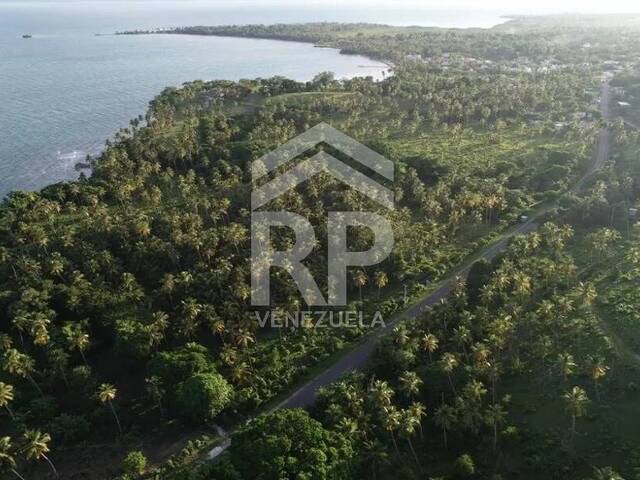 Área para Venta en Las Terrenas - 5