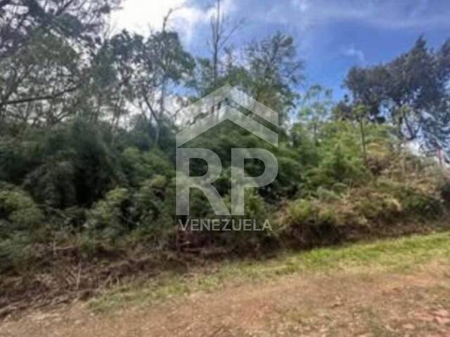Terreno para construcción para Venta en Colonia Tovar - 4