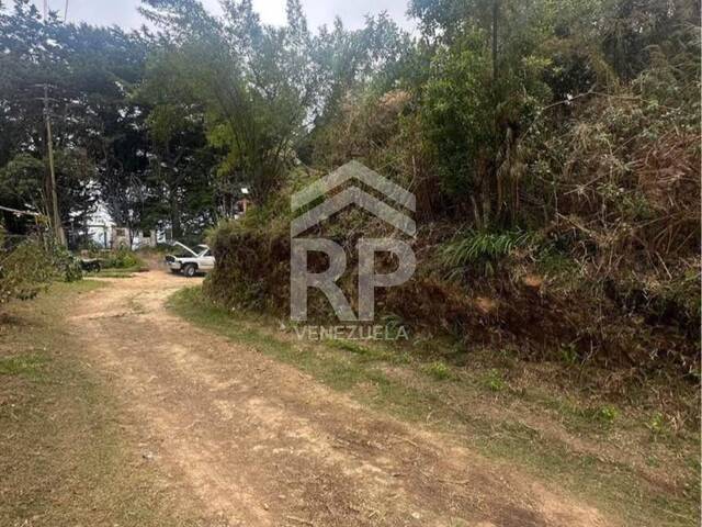 Terreno para construcción para Venta en Colonia Tovar - 5