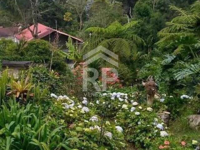 Terreno para construcción para Venta en Colonia Tovar - 3