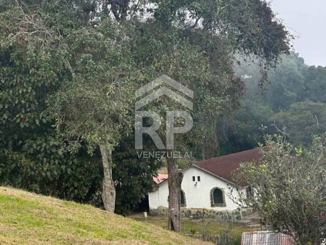 Terreno para construcción para Venta en Colonia Tovar - 2