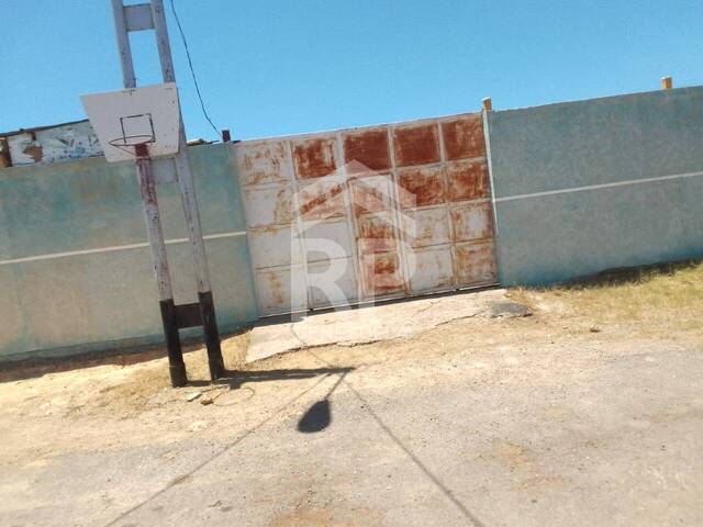 Galpón para Venta en Punto Fijo - 2
