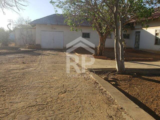 #SGT-168 - Área para Venta en Punto Fijo - I