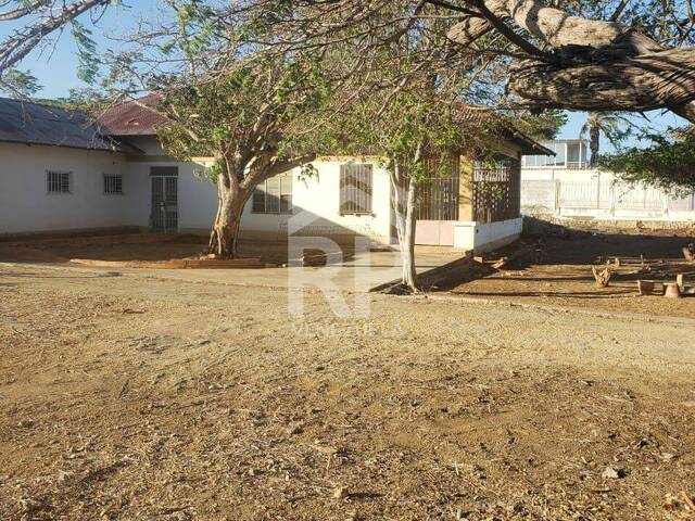 Área para Venta en Punto Fijo - 5
