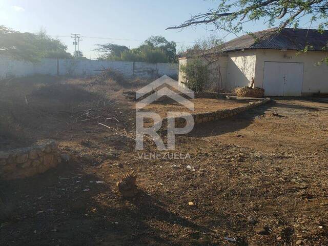 Área para Venta en Punto Fijo - 4